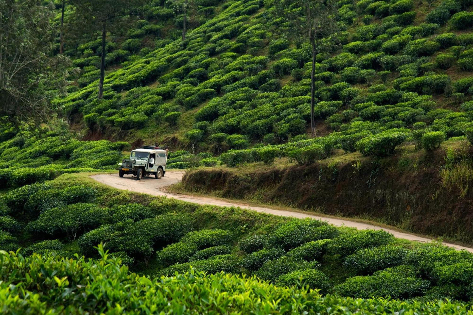 Spicegreen Homestay,Thekkady Eksteriør billede