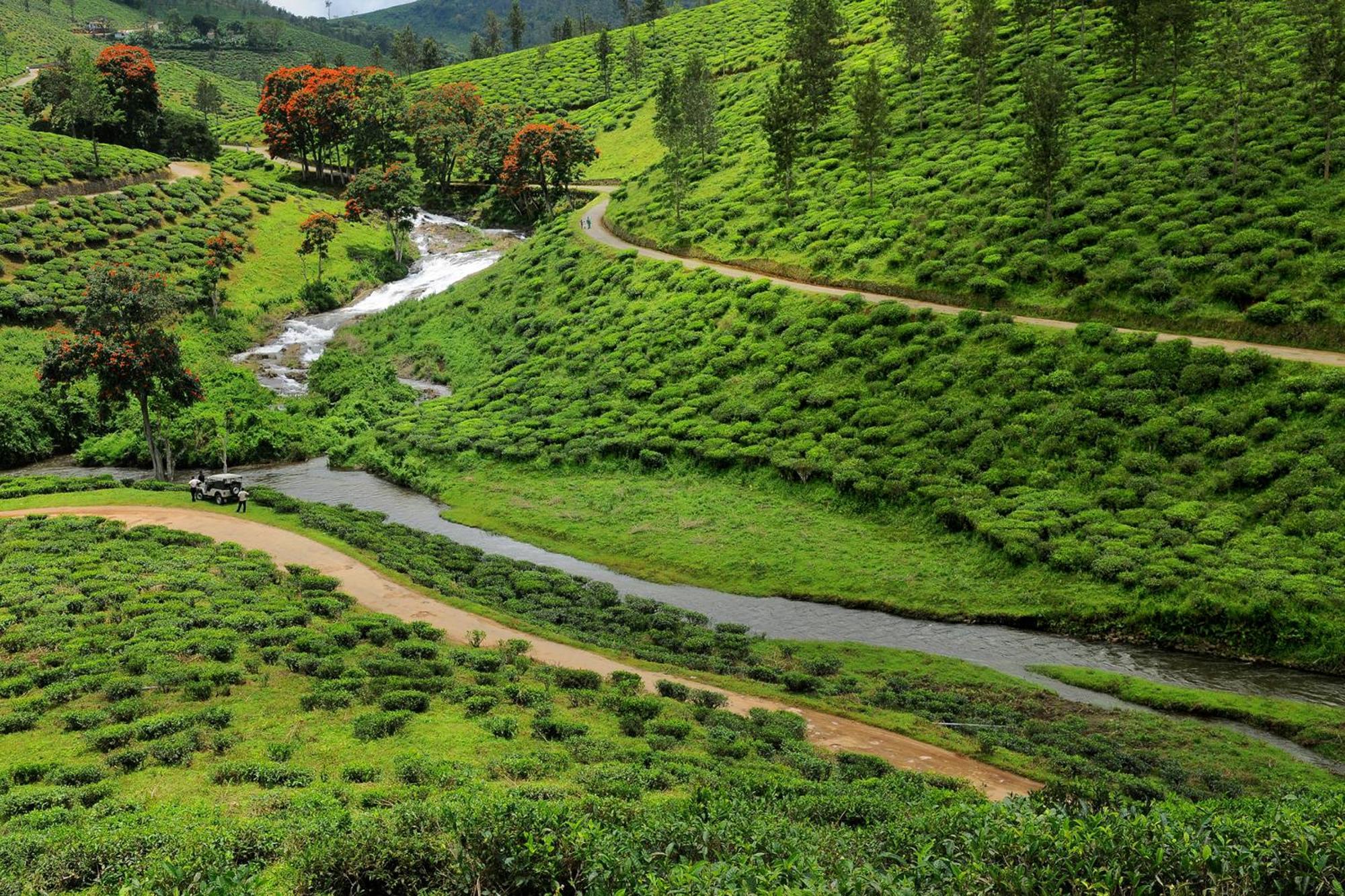 Spicegreen Homestay,Thekkady Eksteriør billede