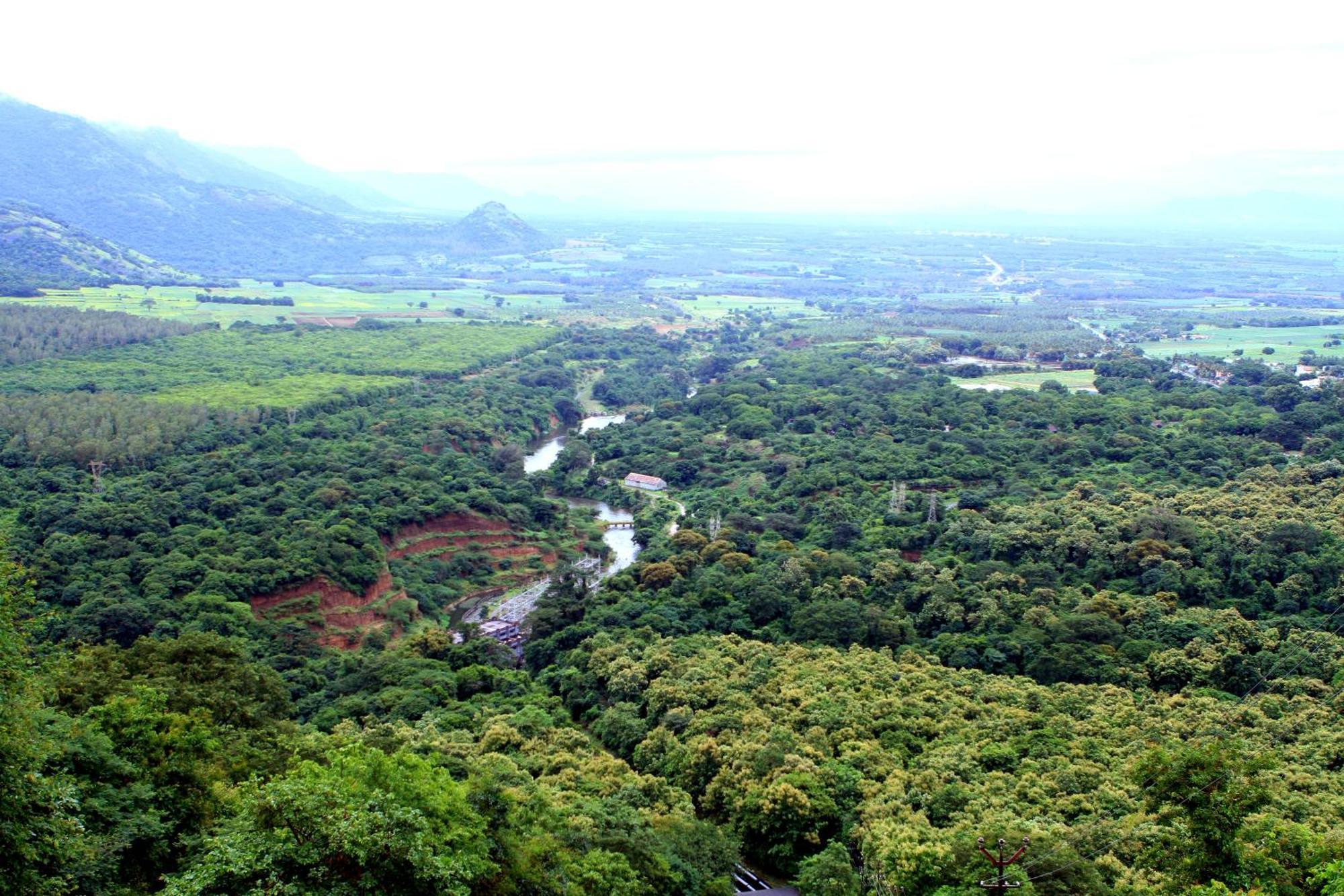 Spicegreen Homestay,Thekkady Eksteriør billede