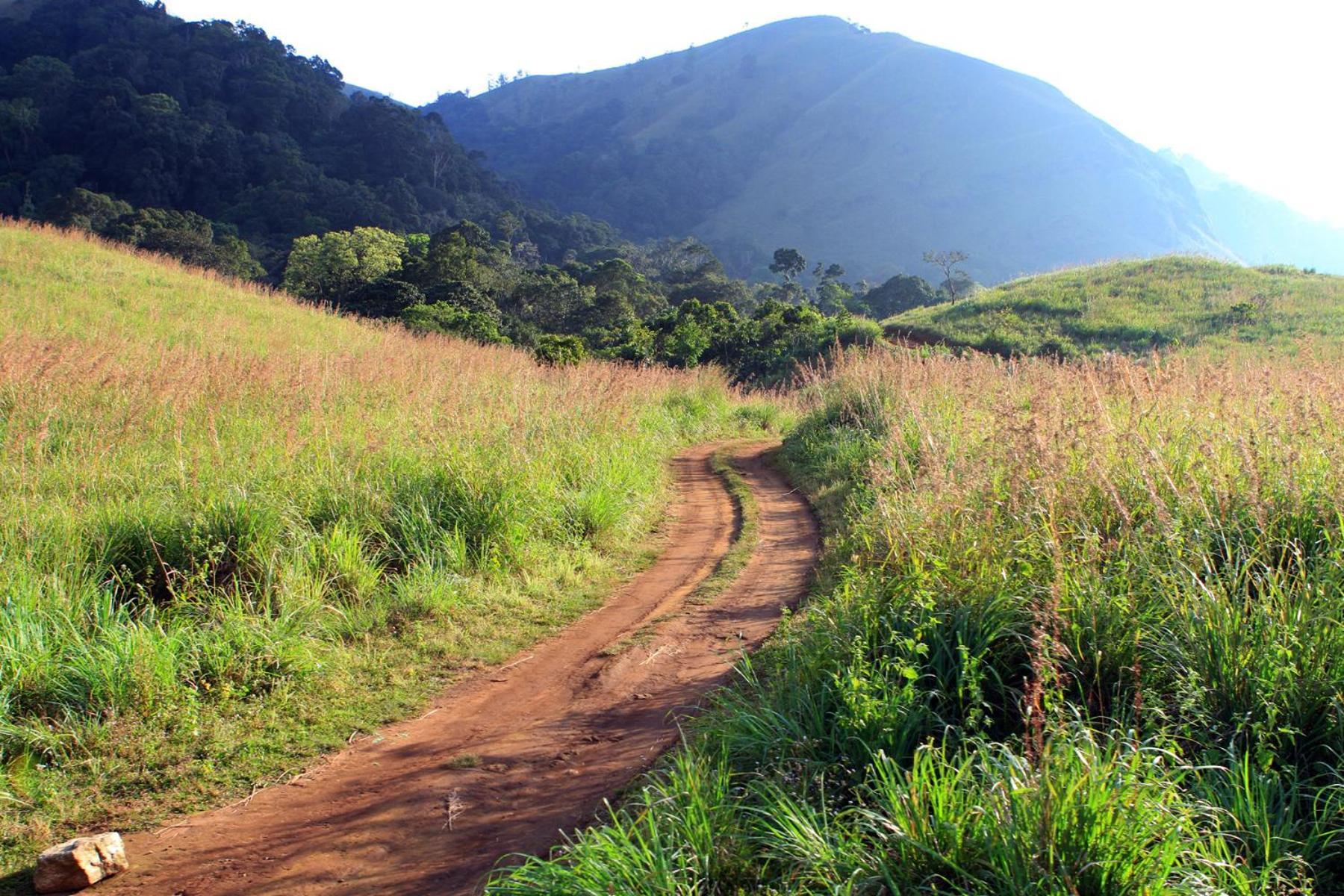 Spicegreen Homestay,Thekkady Eksteriør billede