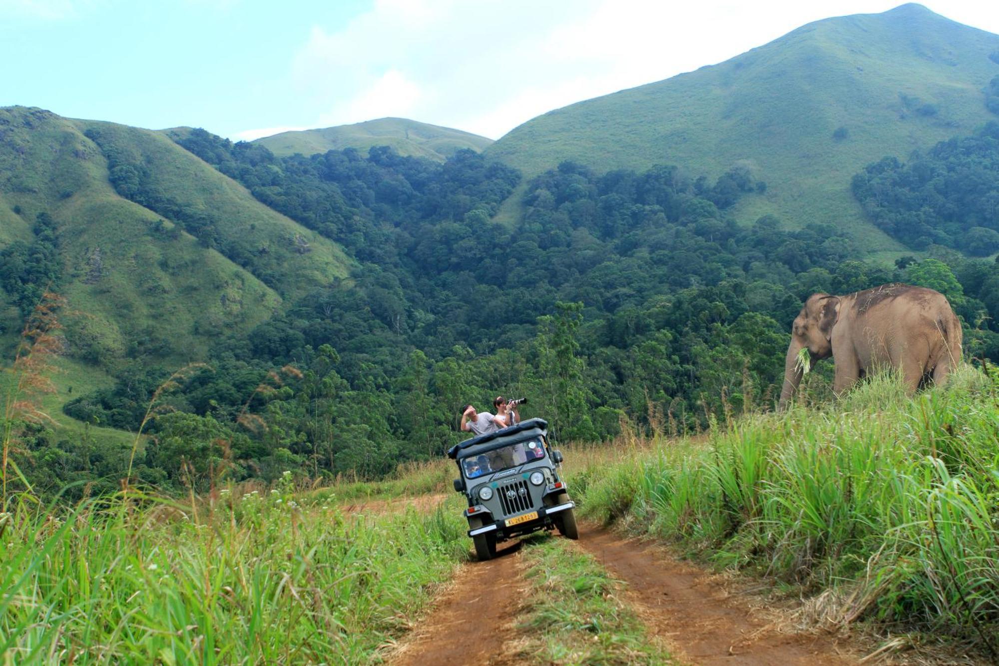 Spicegreen Homestay,Thekkady Eksteriør billede